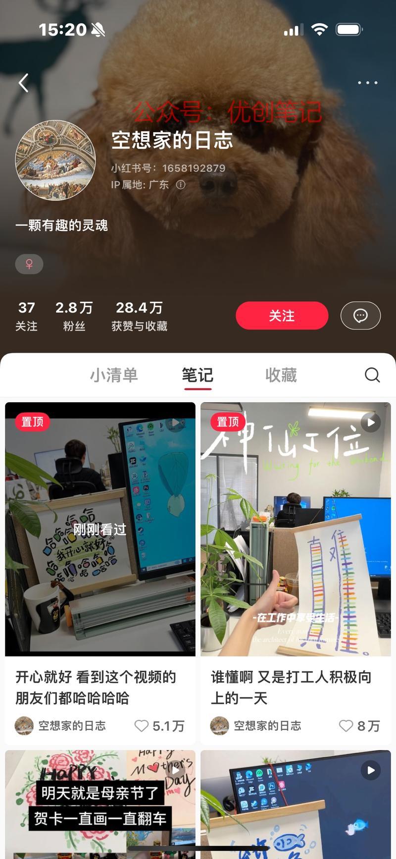 小红书 视频治愈 操作…#情报-搞钱线报📢论坛-网创交流-优创圈